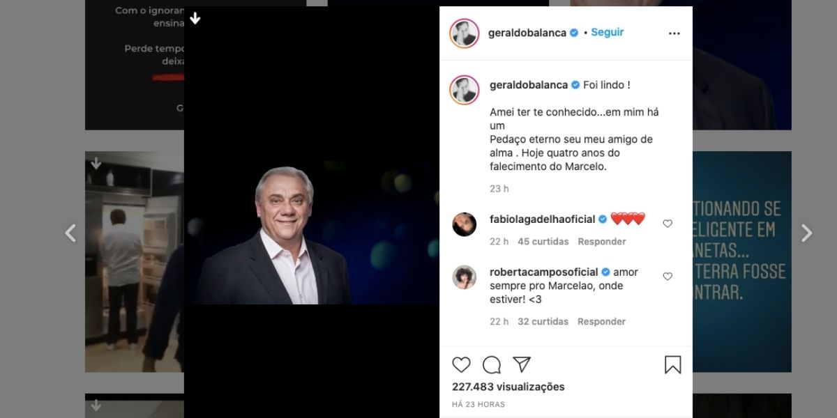 Perda irreparvel de Geraldo Lus Reproduo