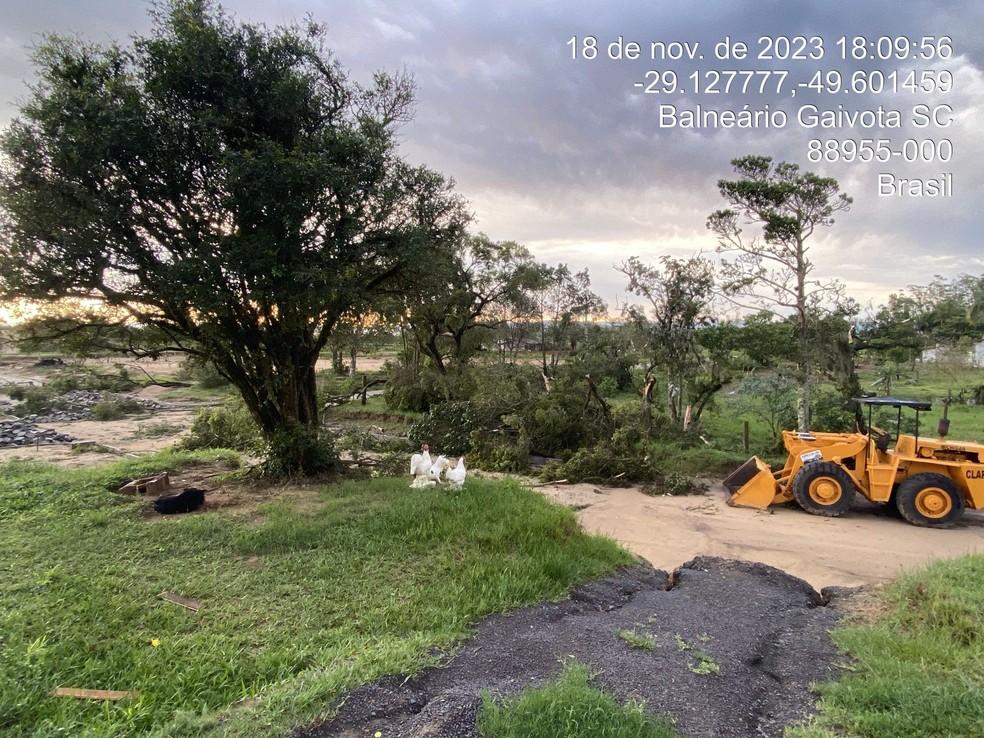 rvores quebradas aps passagem de tornado em Balnerio Gaivota Foto Defesa CivilDivulgao
